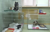 DSCN6549