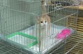 DSCN7961